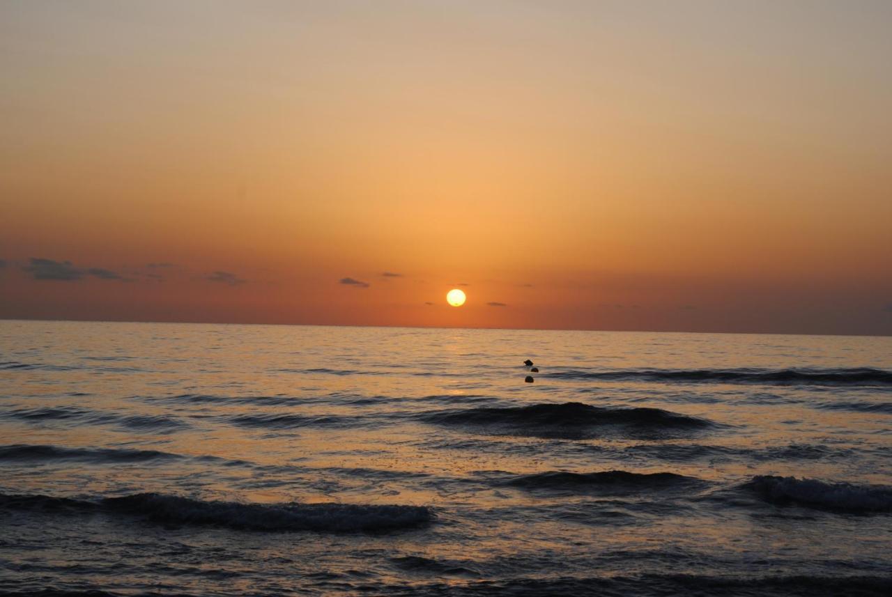 Gandia Playa-Apartamento Gandiazar 2 - Vt- 49300-V Playa de Gandia Εξωτερικό φωτογραφία